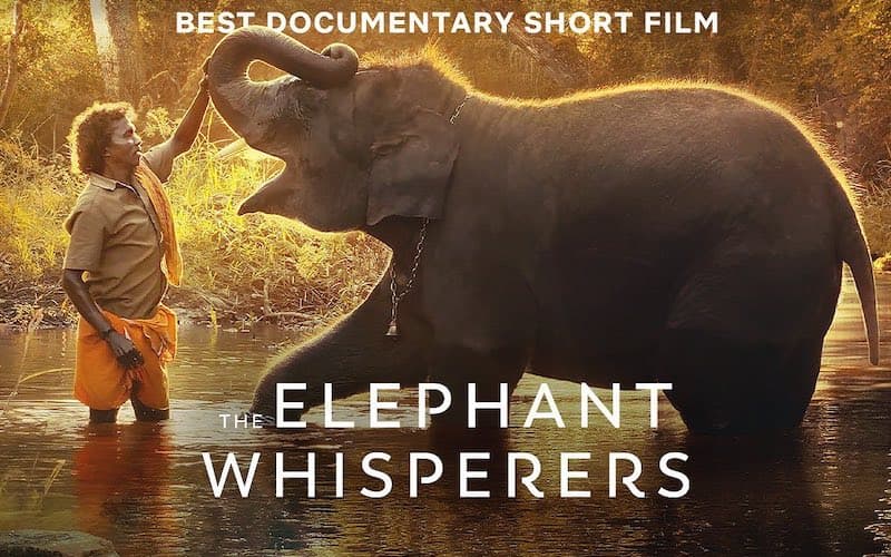 The Elephant Whisperers