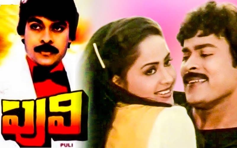 Puli 1985